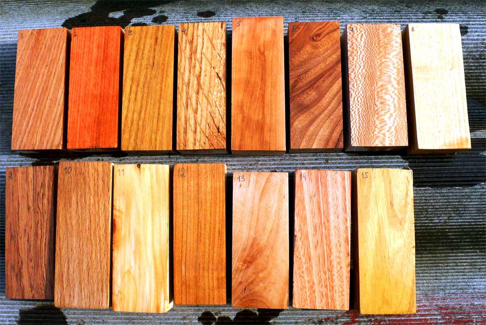 Породы древесины, используемые в строительстве
