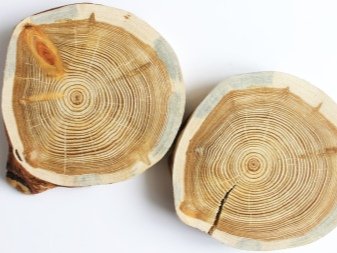 Как определяется плотность пород дерева?
