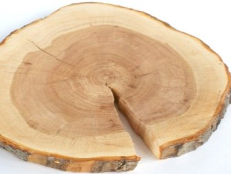 Как определяется плотность пород дерева?