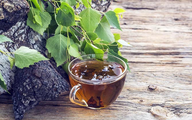 Чай из березовых листьев