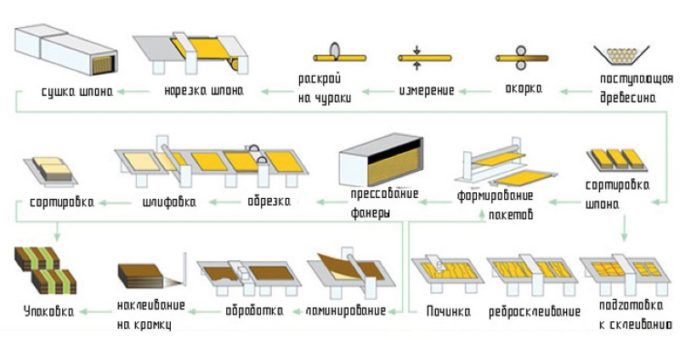 Схема производства фанеры 